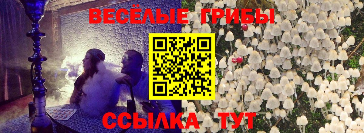 ГАШ  Канабис  Советская Гавань  Вход с VPN  Меф кристаллы  Cocaine  Экстази 