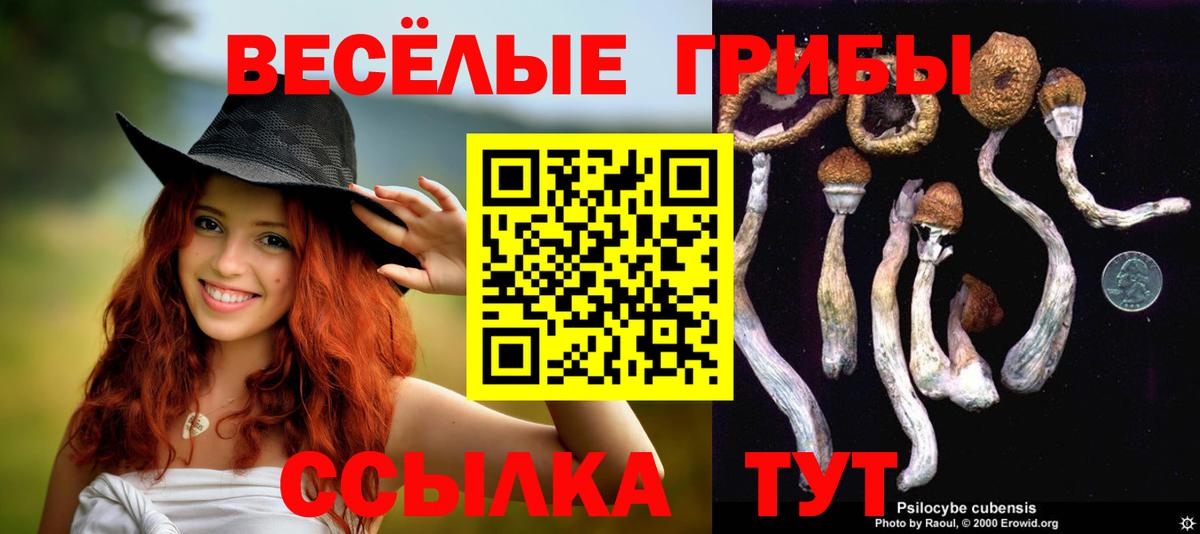 Галлюциногенные грибы GOLDEN TEACHER  Вход с VPN  Галлюциногенные грибы MAGIC MUSHROOMS  Советская Гавань 