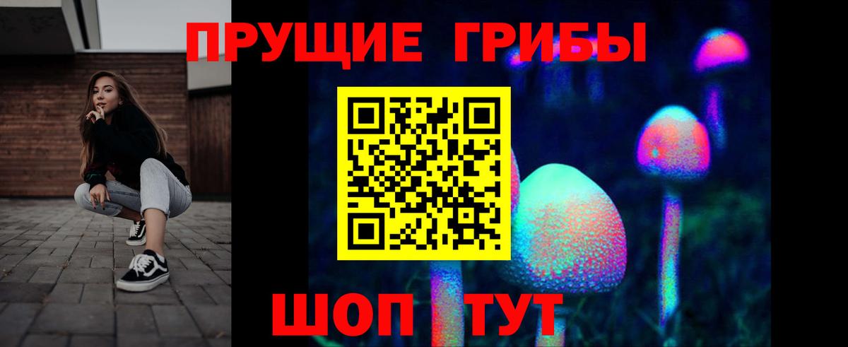 Псилоцибиновые грибы прущие грибы Советская Гавань
